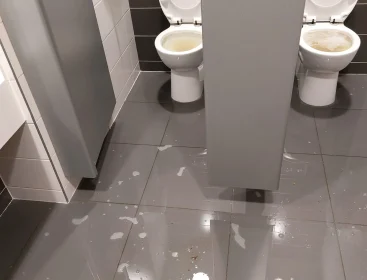 Blocked Toilets